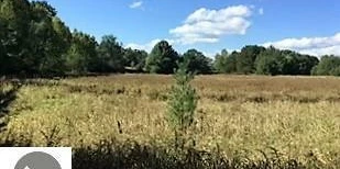 Prime 72-Acre Development Opportunity Bordering City of Cadillac & Evergreen Golf Course