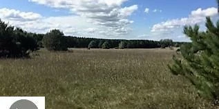 Prime 72-Acre Development Opportunity Bordering City of Cadillac & Evergreen Golf Course