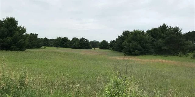 Prime 72-Acre Development Opportunity Bordering City of Cadillac & Evergreen Golf Course