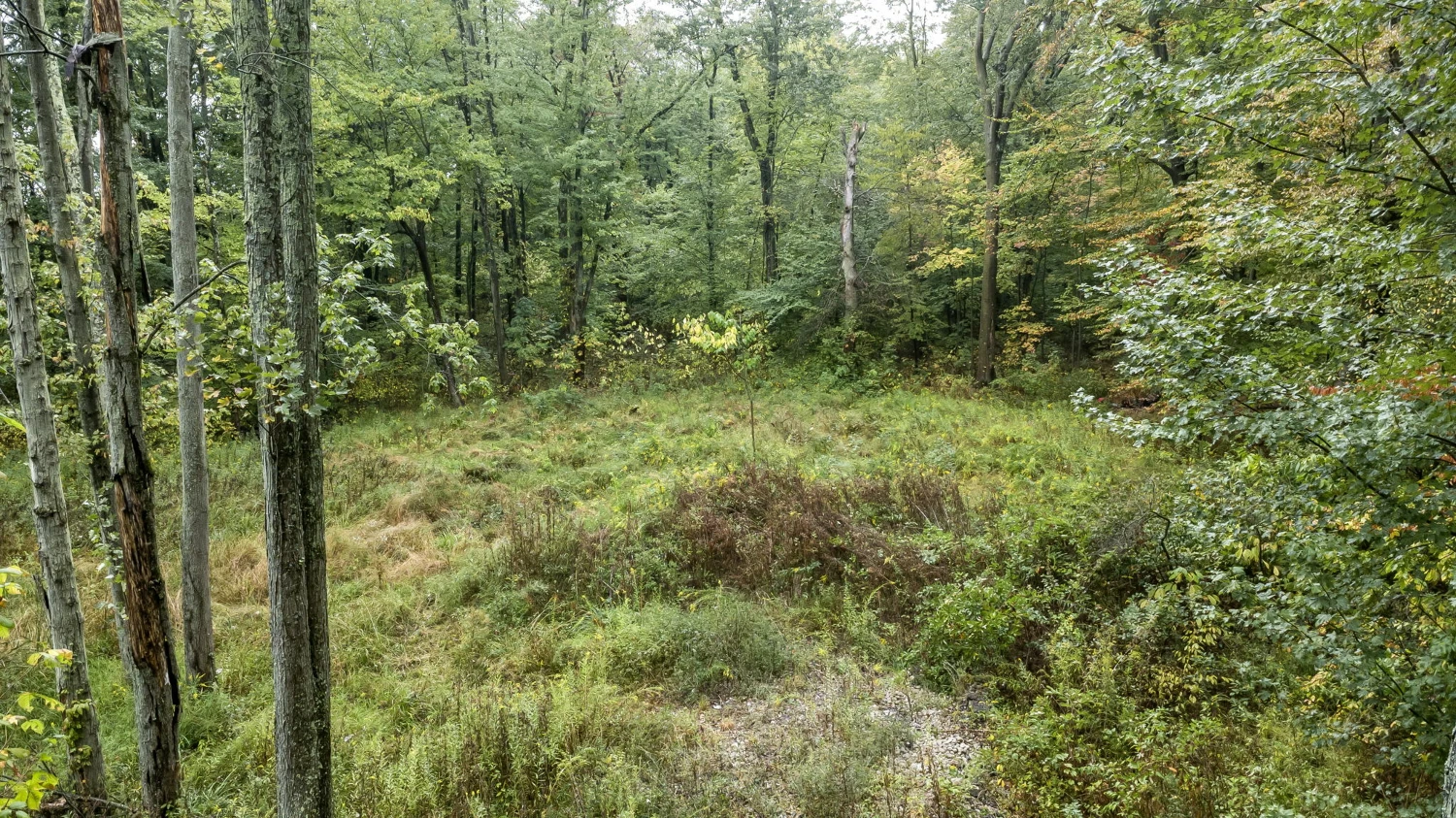 0 Babbitt Rd, New Albany, OH for sale