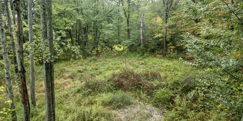 0 Babbitt Rd, New Albany, OH for sale