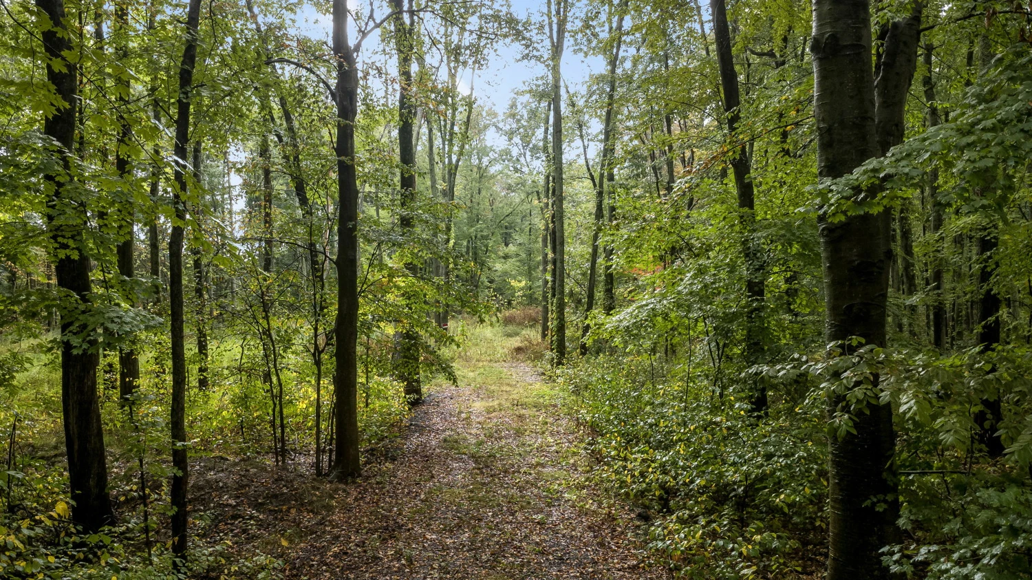0 Babbitt Rd, New Albany, OH for sale