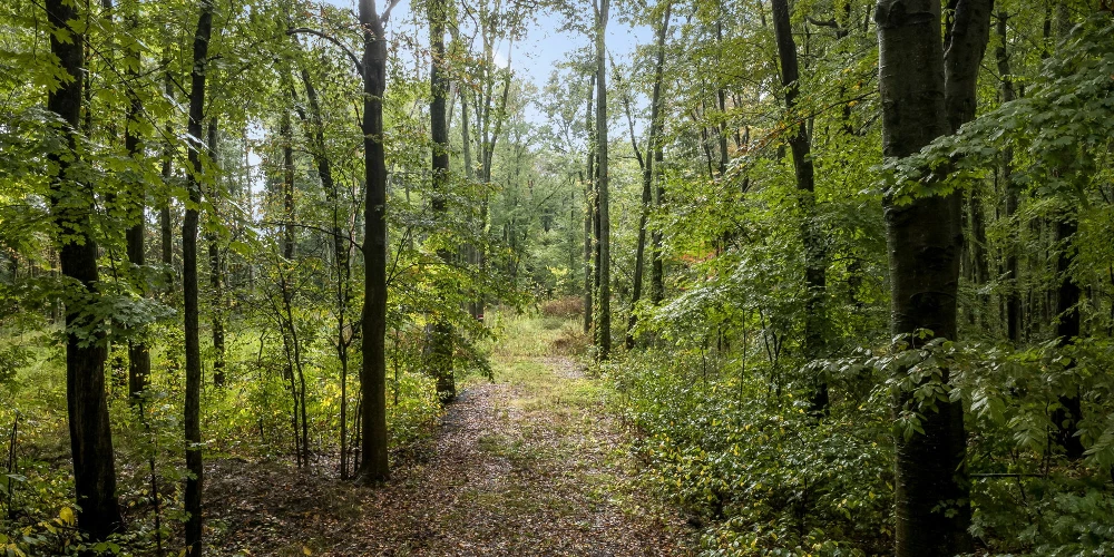 0 Babbitt Rd, New Albany, OH for sale