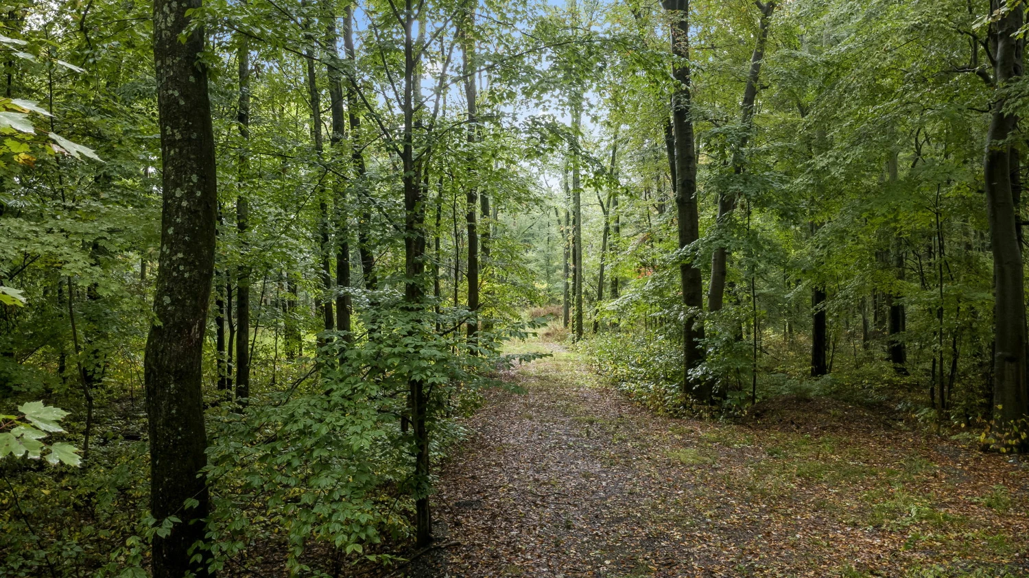 0 Babbitt Rd, New Albany, OH for sale
