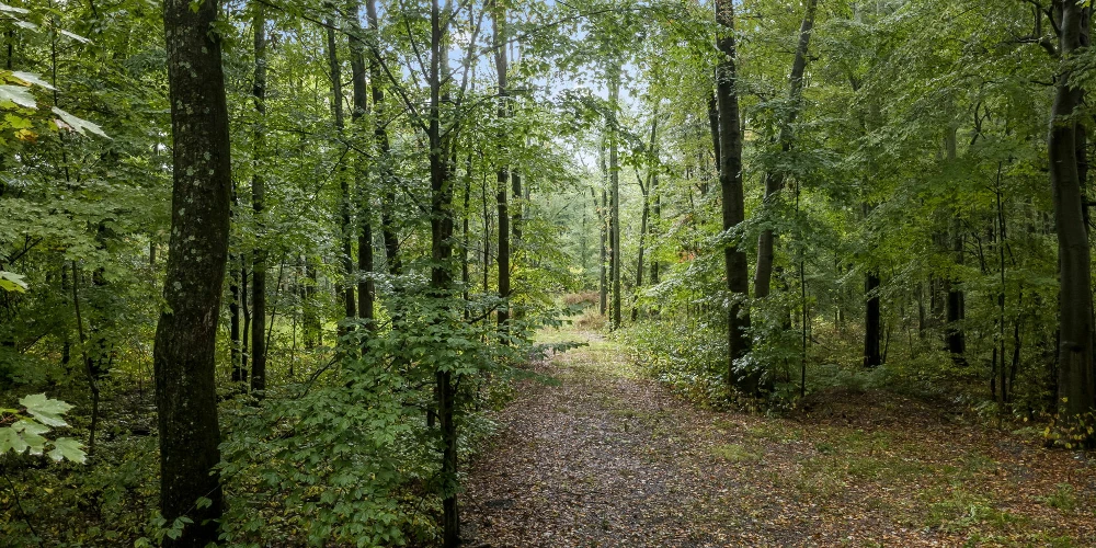 0 Babbitt Rd, New Albany, OH for sale