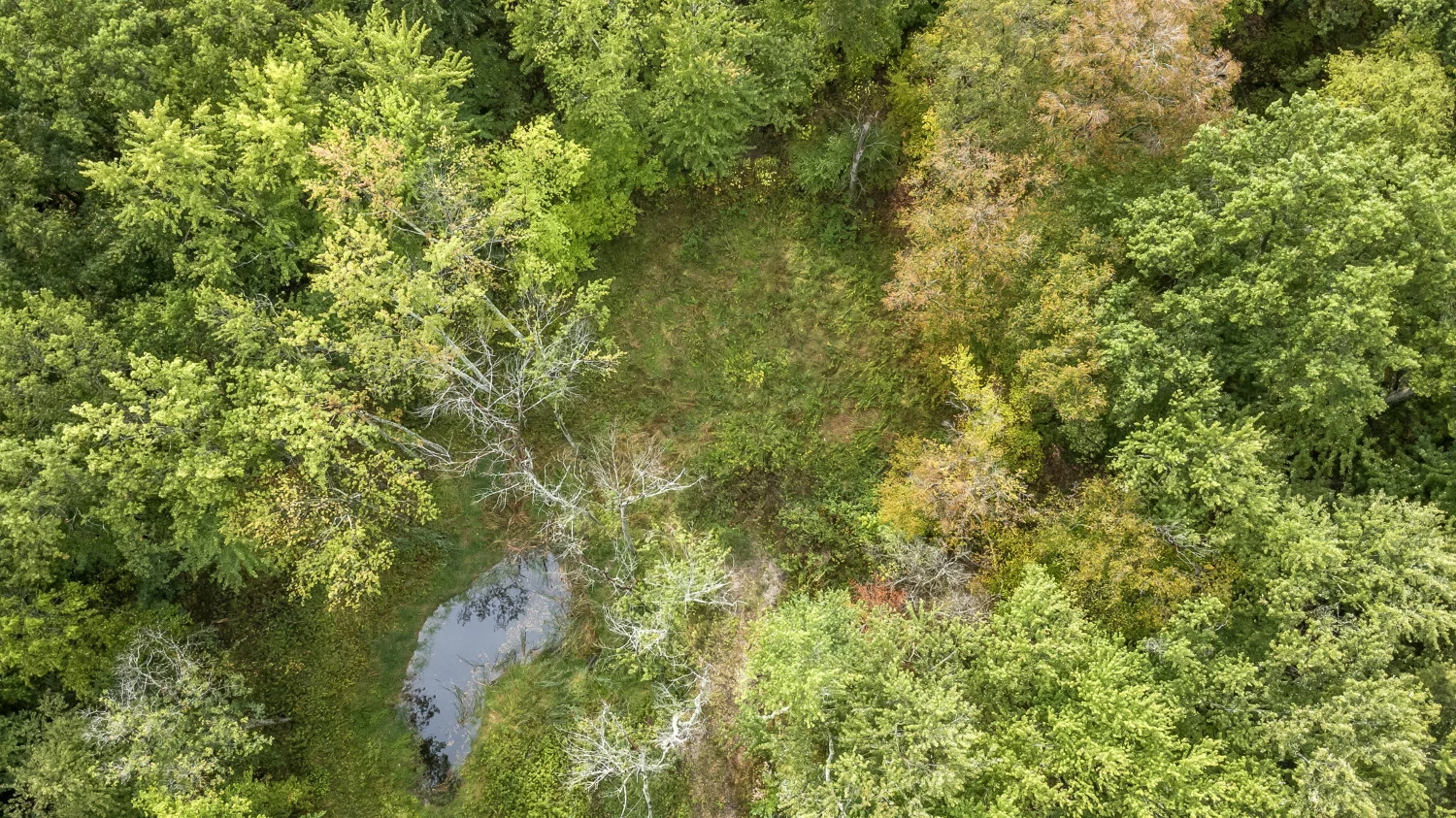 0 Babbitt Rd, New Albany, OH for sale