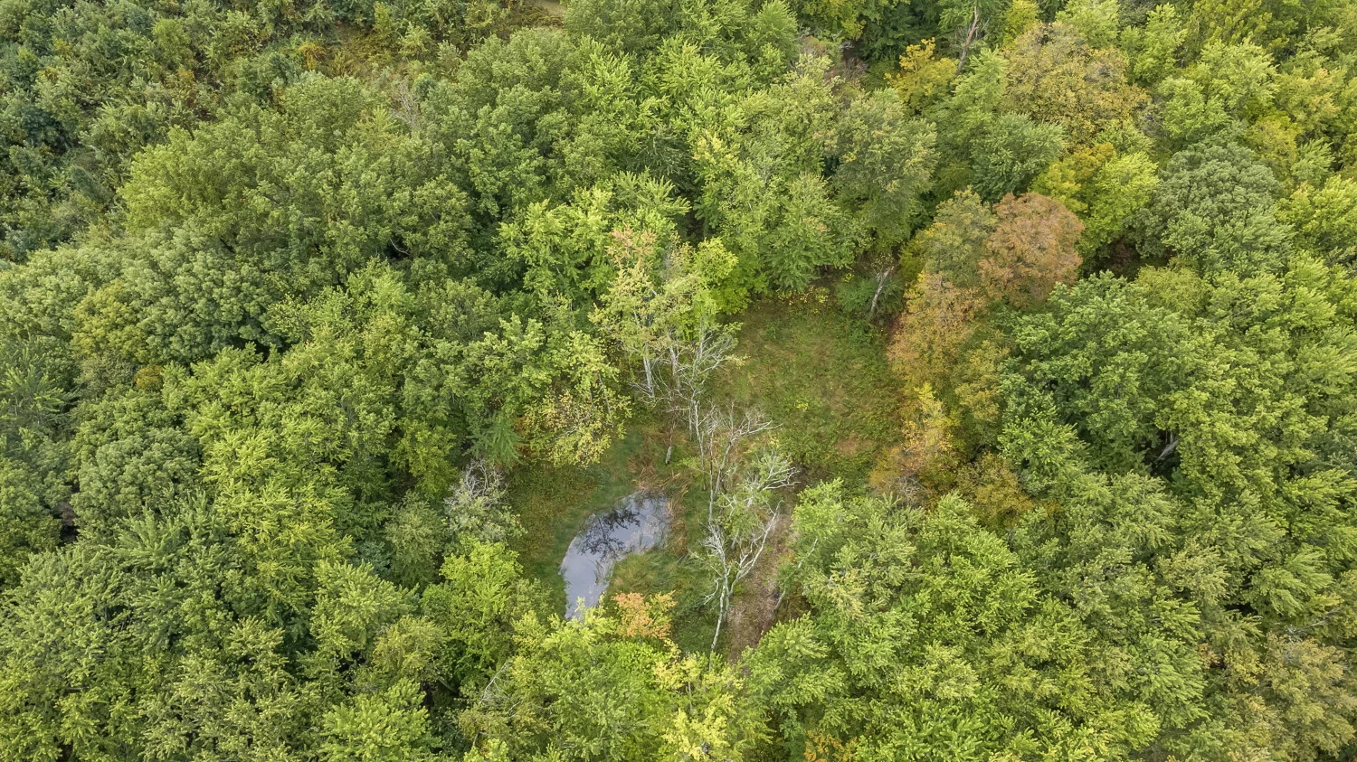 0 Babbitt Rd, New Albany, OH for sale