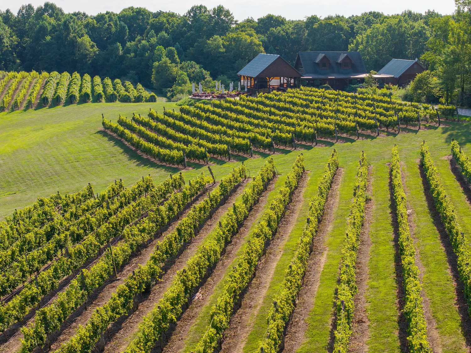 Shade Winery