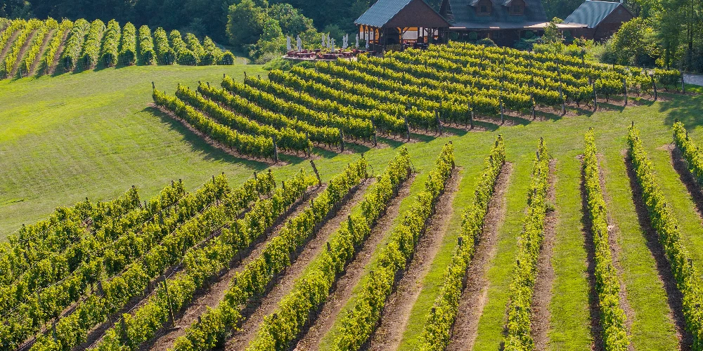 Shade Winery
