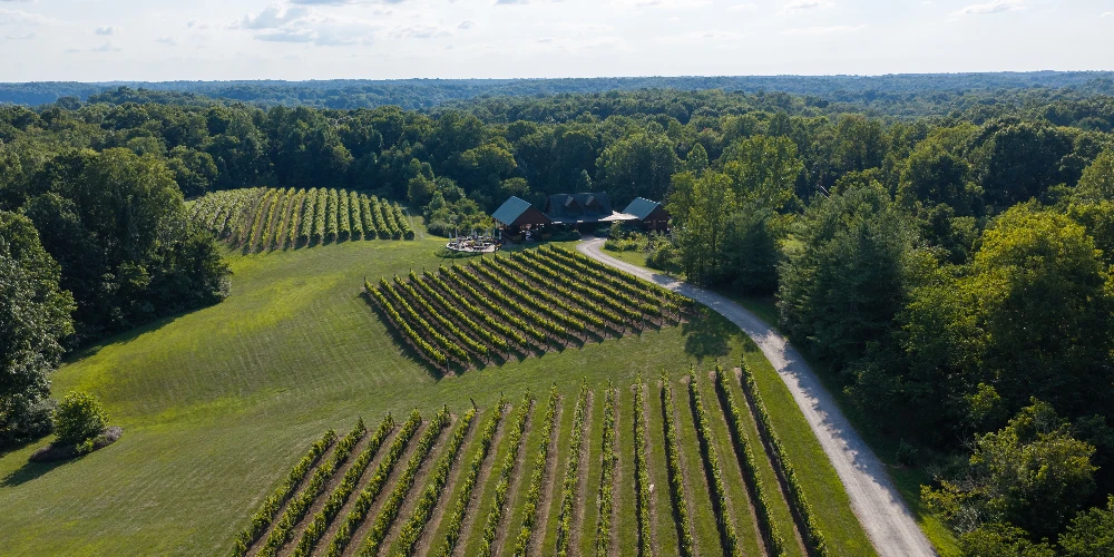 Shade Winery