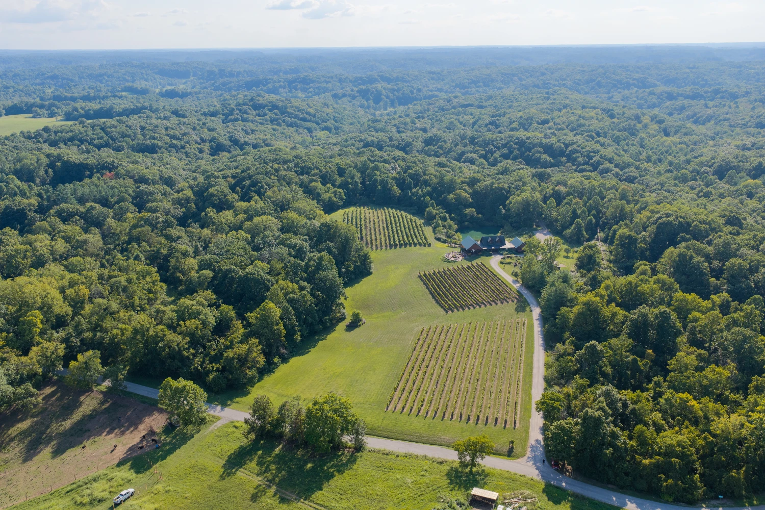 Shade Winery