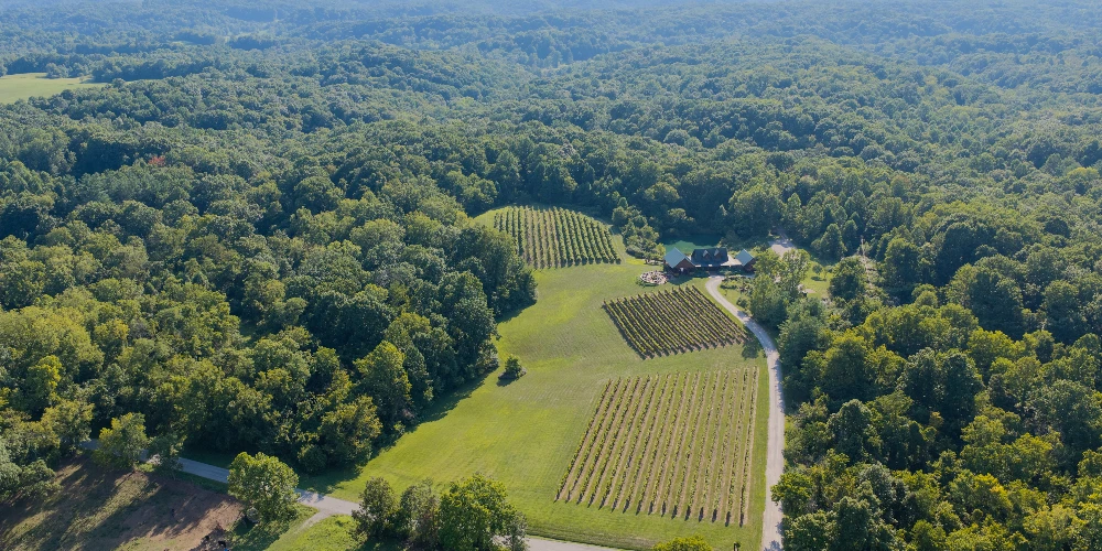 Shade Winery