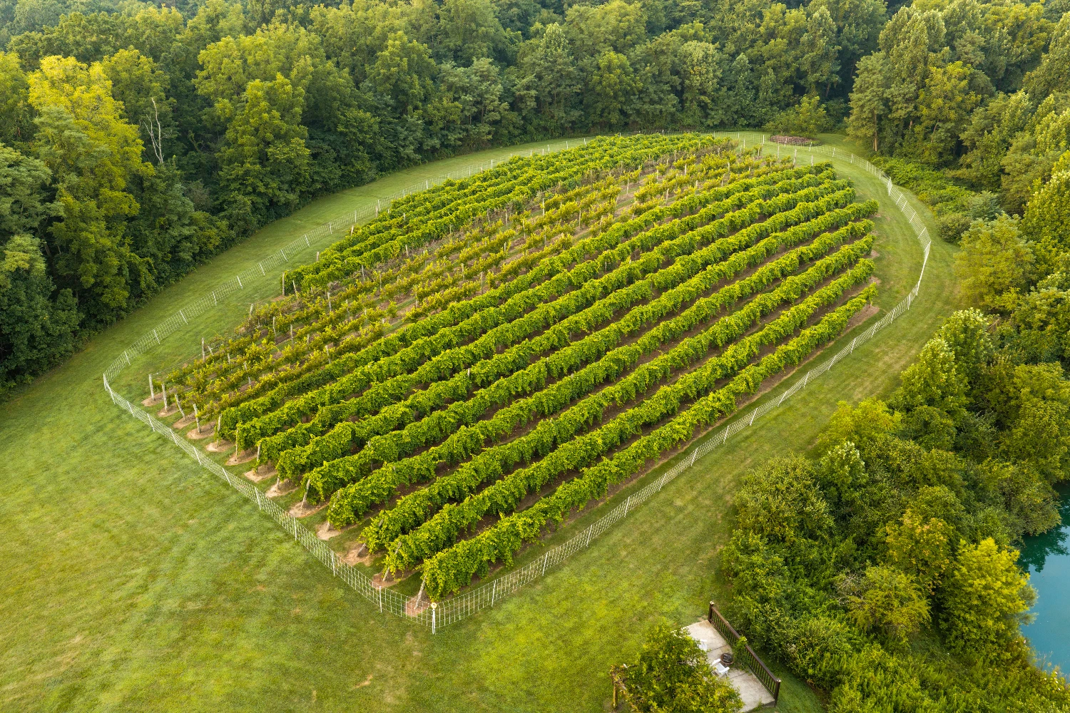 Shade Winery