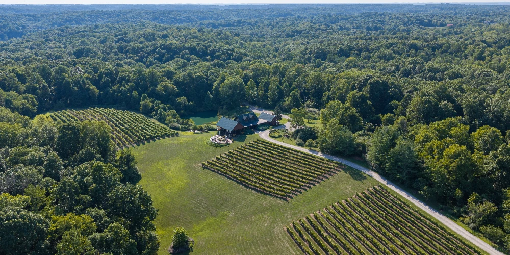 Shade Winery