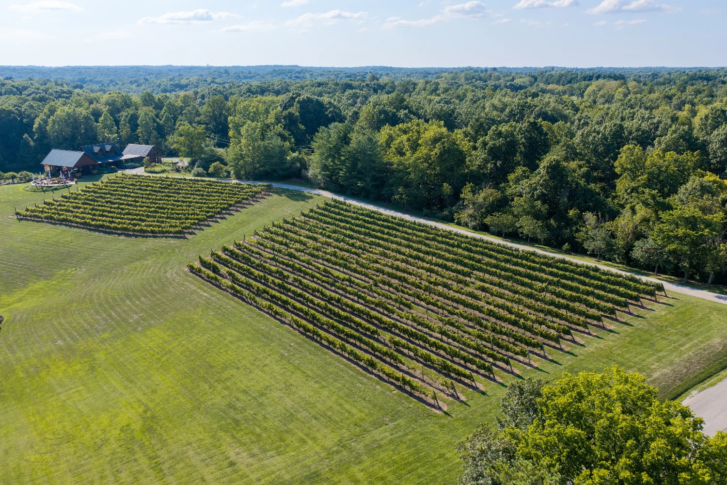 Shade Winery