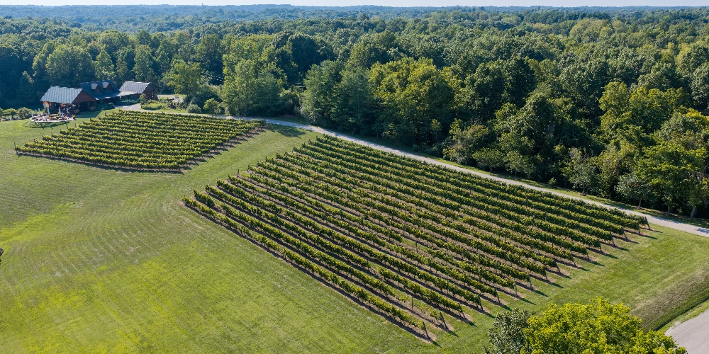 Shade Winery