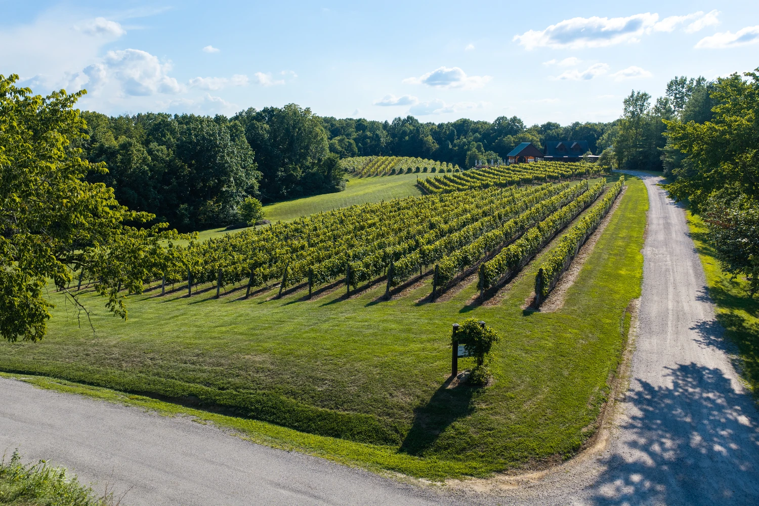 Shade Winery