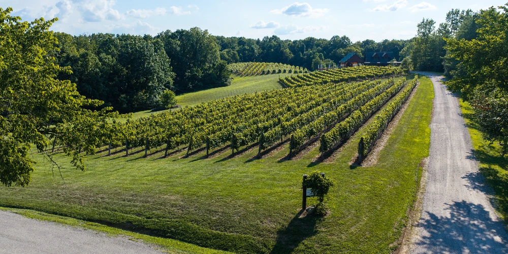 Shade Winery