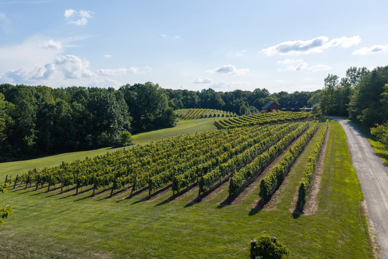 Shade Winery