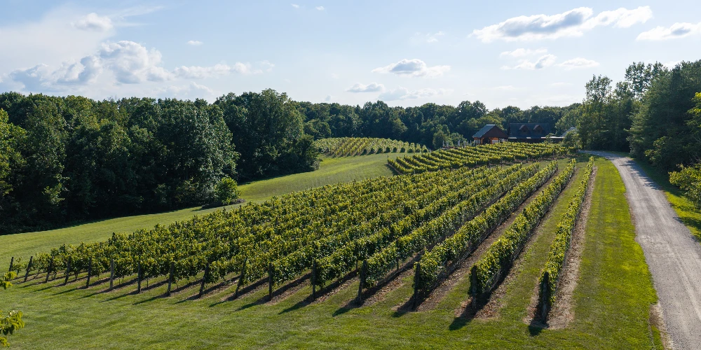 Shade Winery