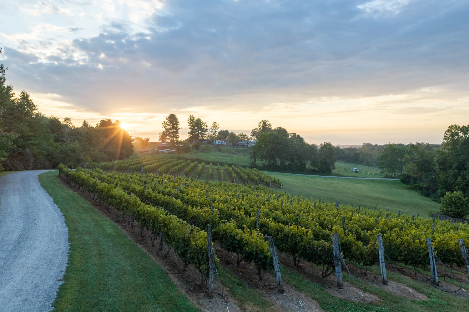 Shade Winery