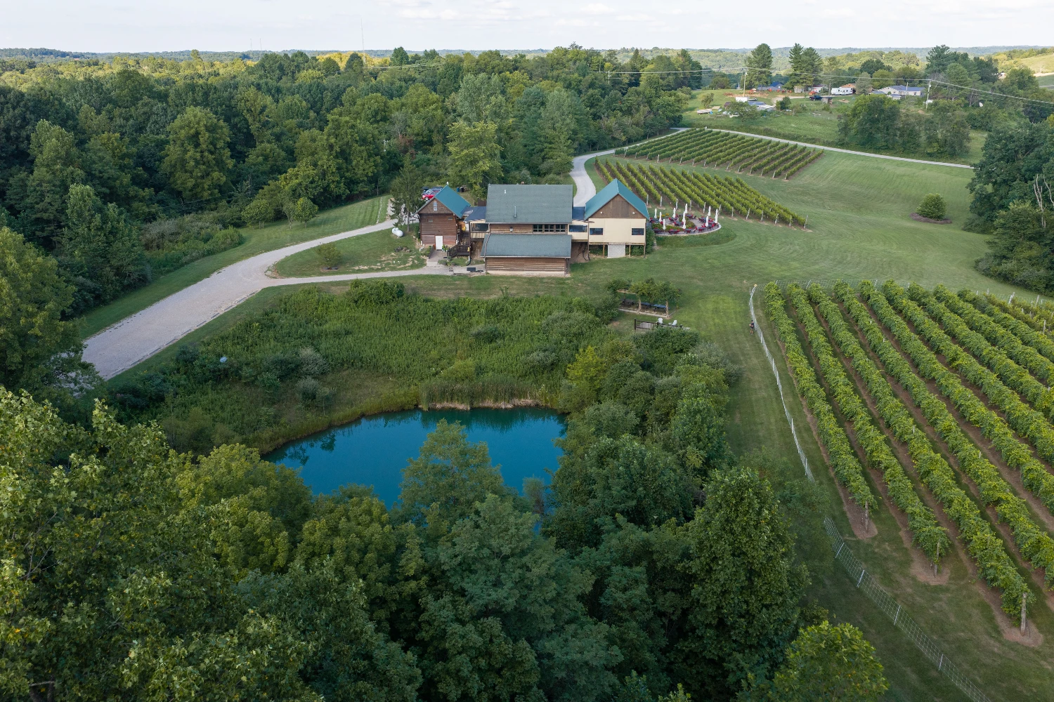 Shade Winery