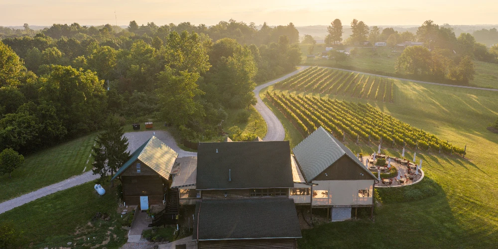 Shade Winery