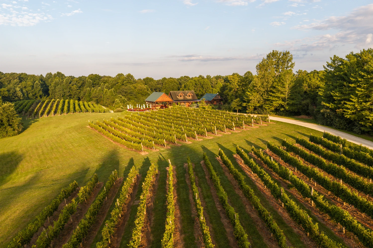 Shade Winery