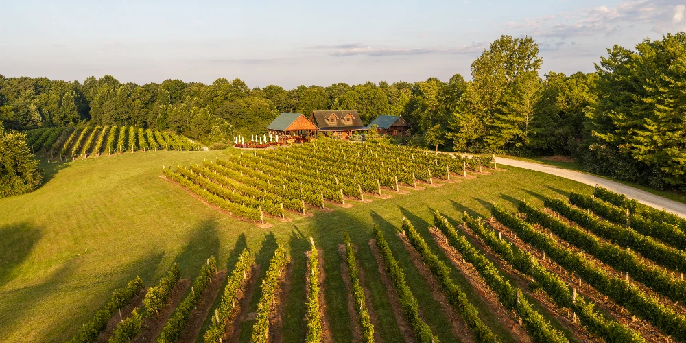 Shade Winery