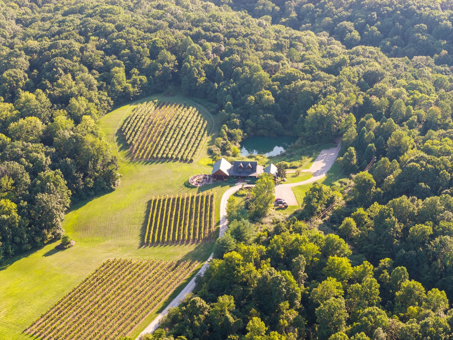 Shade Winery
