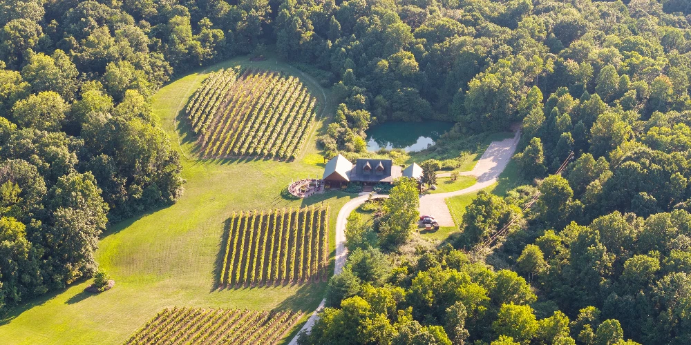 Shade Winery