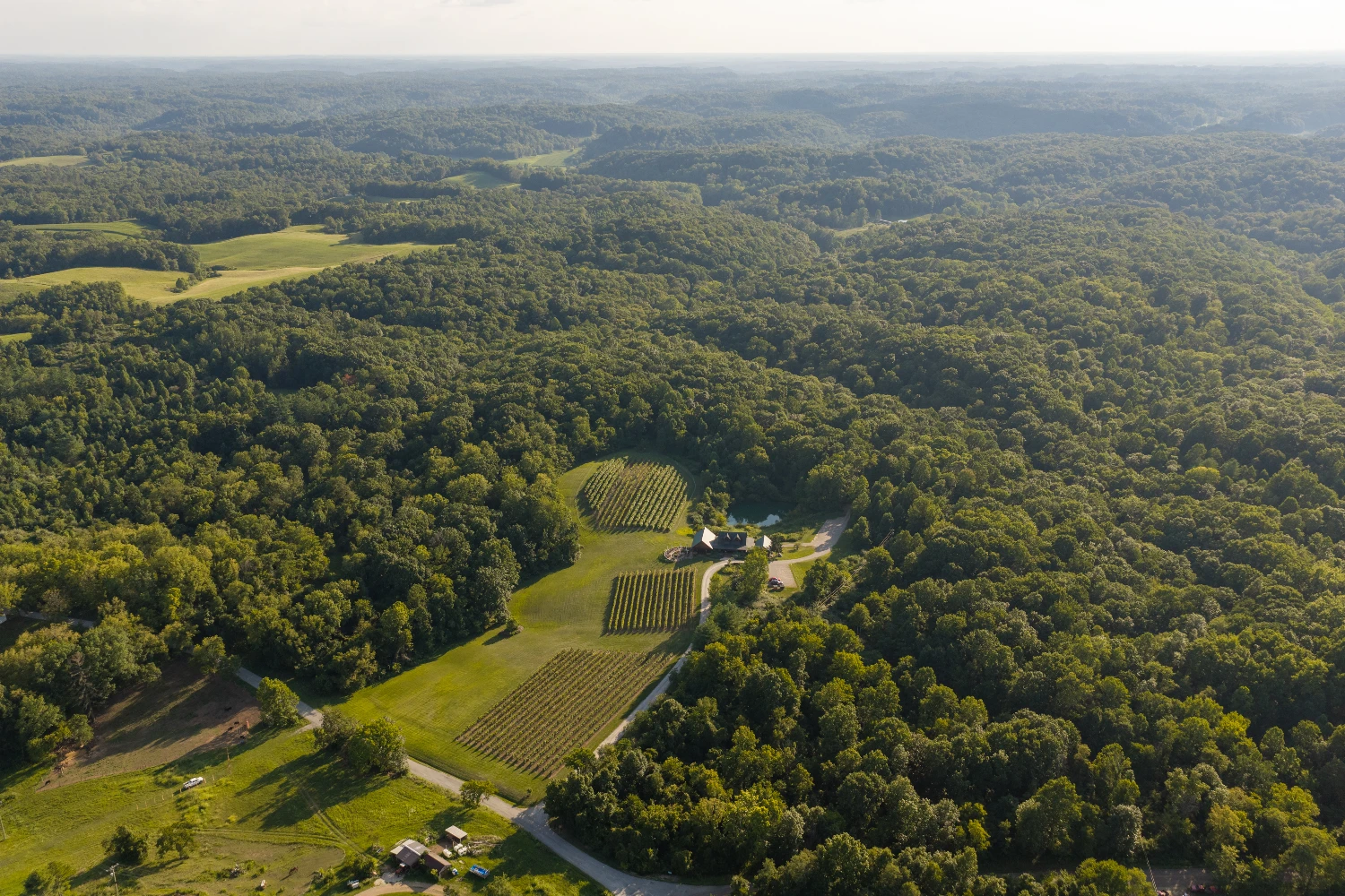 Shade Winery