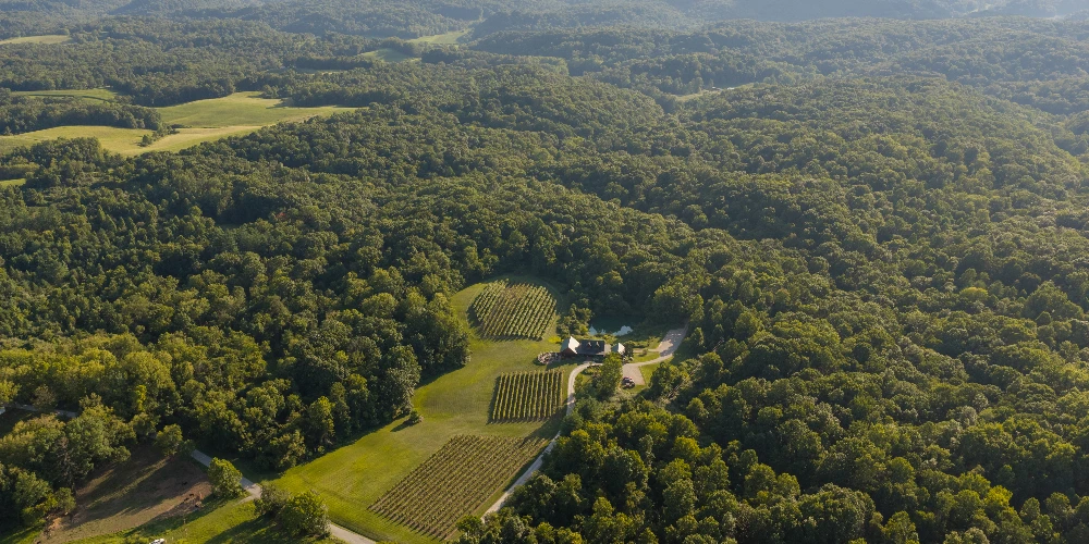 Shade Winery