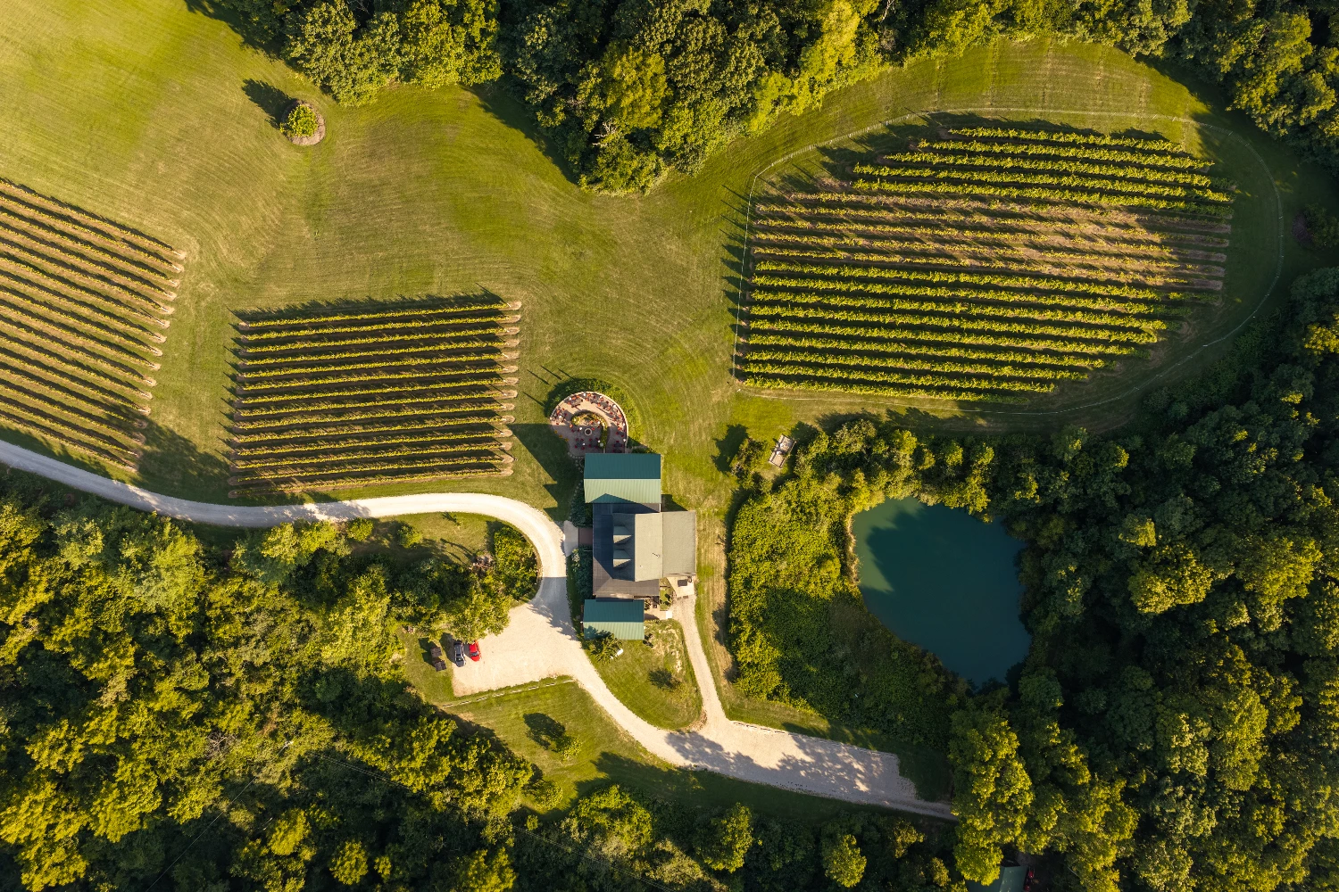 Shade Winery