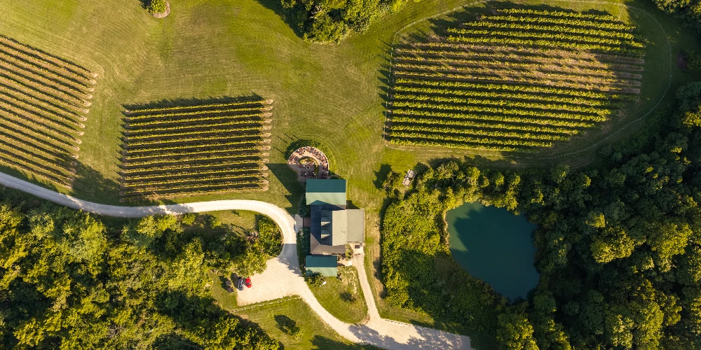 Shade Winery