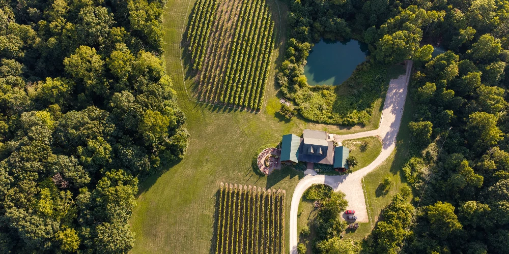 Shade Winery