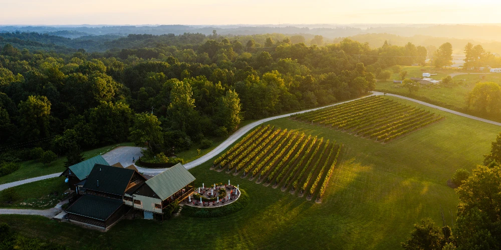 Shade Winery
