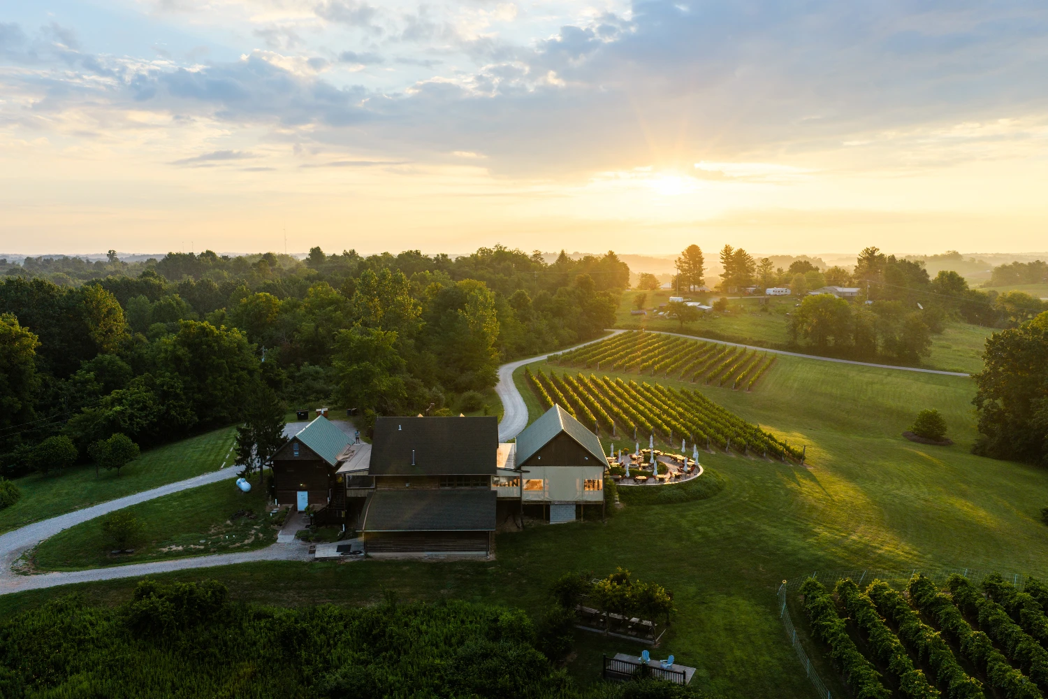 Shade Winery