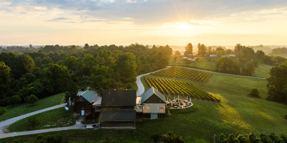 Shade Winery