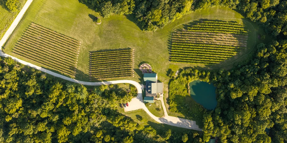 Shade Winery