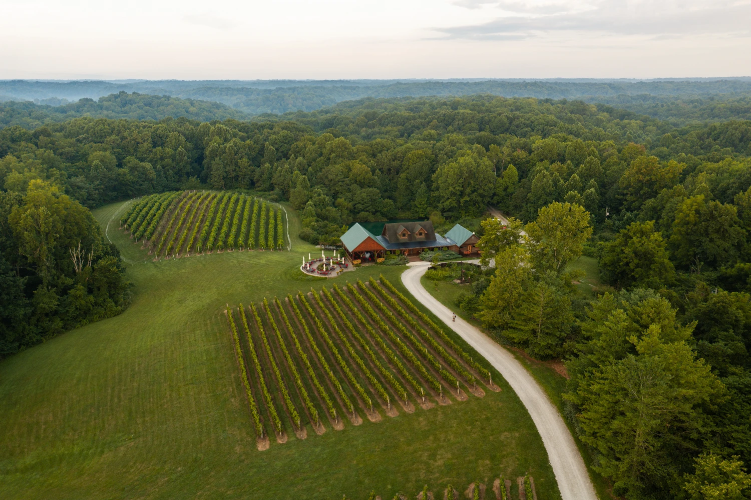 Shade Winery