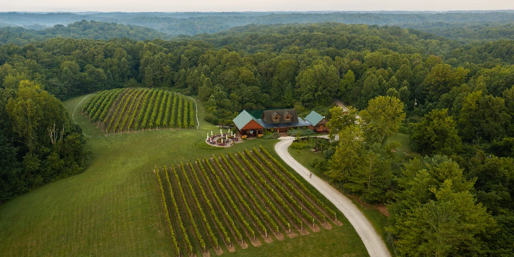 Shade Winery