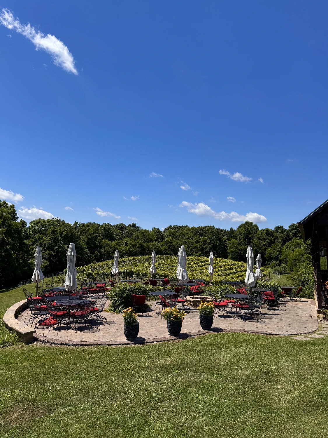Shade Winery
