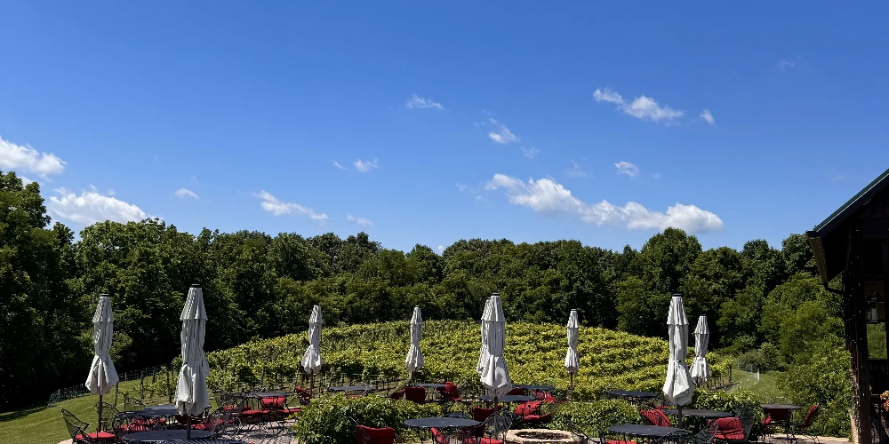 Shade Winery