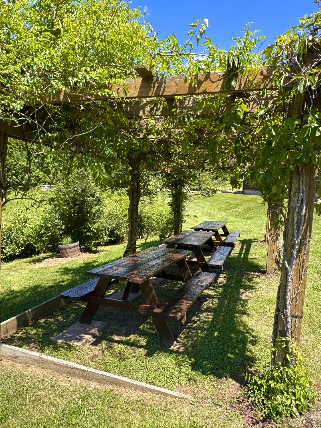 Shade Winery