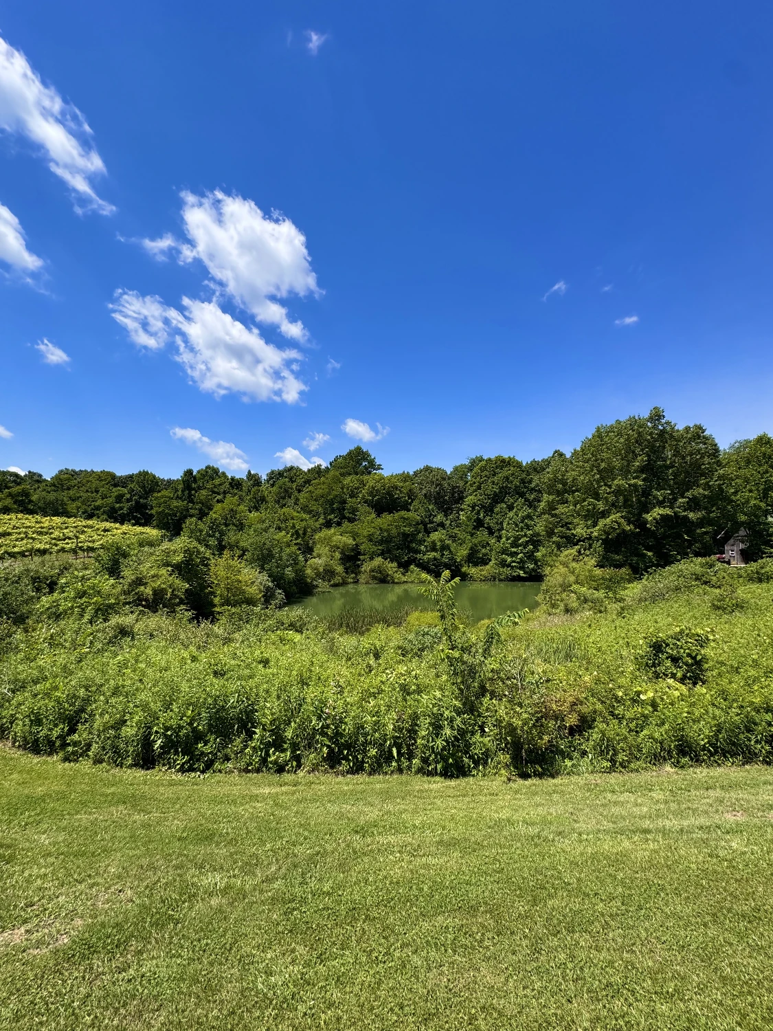 Shade Winery