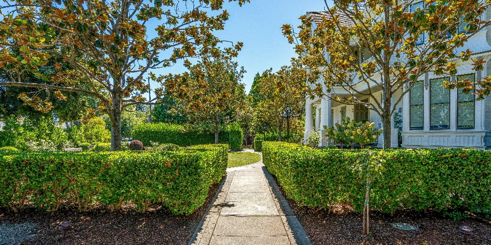 443 Brown St, Napa, CA for sale